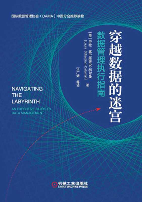 穿越数据的迷宫 数据管理执行指南（劳拉•塞巴斯蒂安-科尔曼 [劳拉•塞巴斯蒂安-科尔曼]）（机械工业出版社 2020）