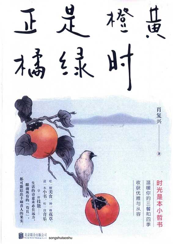 正是橙黄橘绿时（肖复兴）（北京联合出版公司 2022）