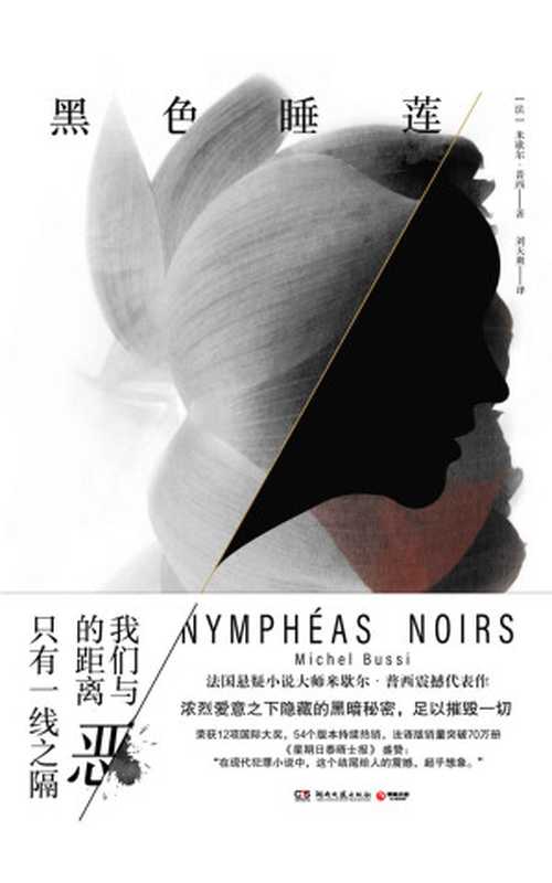 黑色睡莲（法版《寂静岭》 美丽的小镇如同牢笼 三个女孩谁能逃出生天？）（米歇尔·普西 [米歇尔·普西]）（湖南文艺出版社 2020）