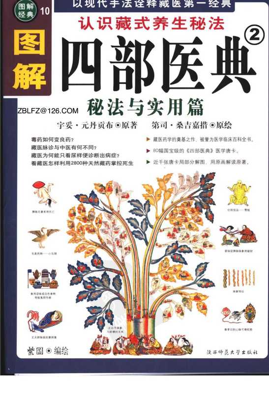 图解四部医典2-秘法与实用篇（宇妥·元丹贡布）（陕西师范大学出版社）