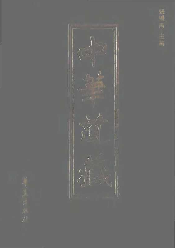 中華道藏12（张继禹）
