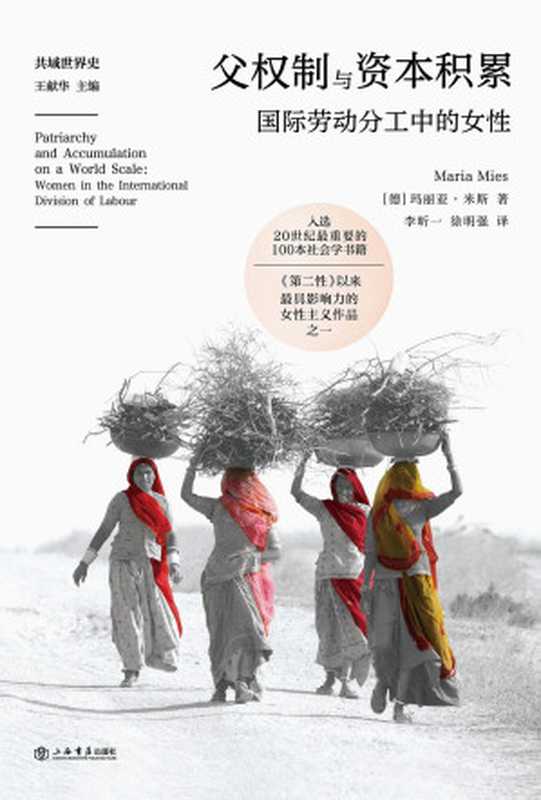 父权制与资本积累 国际劳动分工中的女性（玛丽亚·米斯）