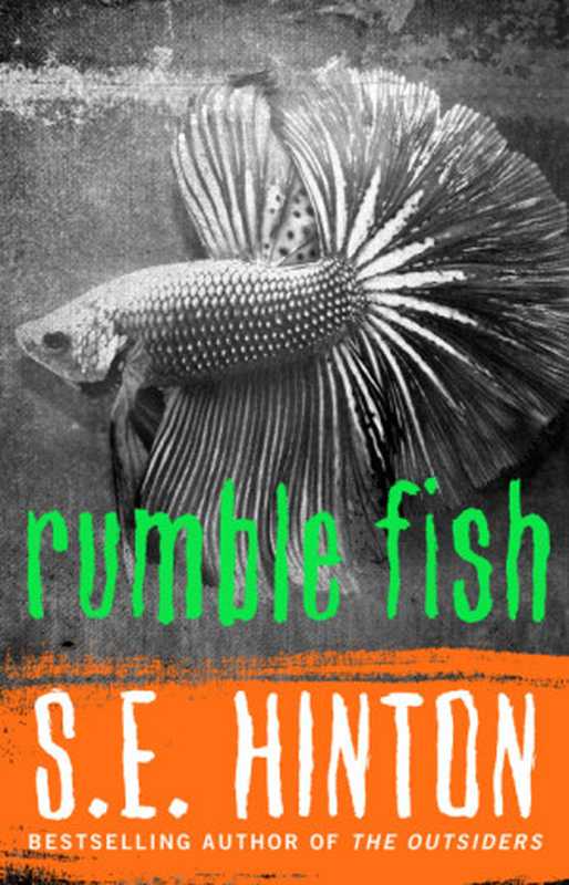 Rumble Fish（Hinton  S.E.）（Diversion Books 2014）