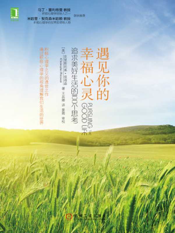 遇见你的幸福心灵追求美好生活的100个思考（C.）著（美）彼得森（Peterson[（美）彼得森（PetersonC.）著]）（2019）