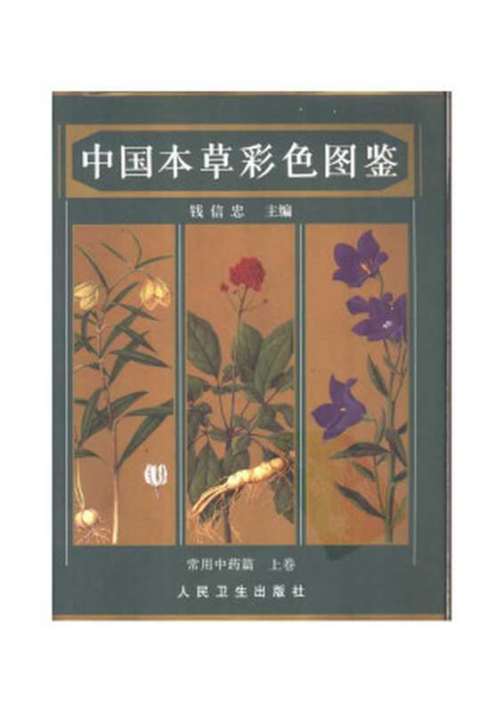 中国本草彩色图鉴 常用中药篇 上卷(钱信忠 编)(人民卫生出版社 1996)