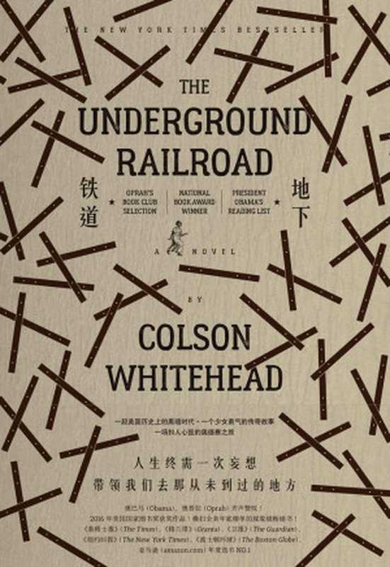 地下铁道（奥巴马、奥普拉齐声赞叹新晋奥斯卡奖得主导演巴里·詹金斯新片改编！）（[美]科尔森·怀特黑德）（2017）