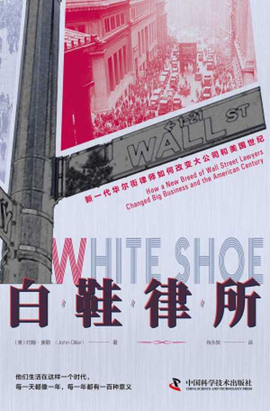 白鞋律所_新一代华尔街律师如何改变大公司和美国世纪(【美】约翰·奥勒)