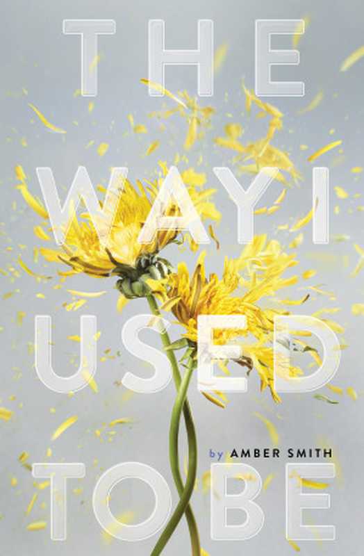 The Way I Used to Be（Amber Smith）（Margaret K. McElderry Books 2021）