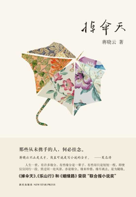 掉伞天（蒋晓云 [蒋晓云]）（新星出版社 2015）
