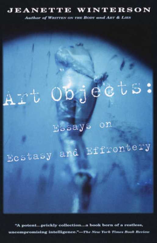 Art Objects Essays On Ecstasy and Effrontery(Jeanette Winterson)(Vintage Books 2013)