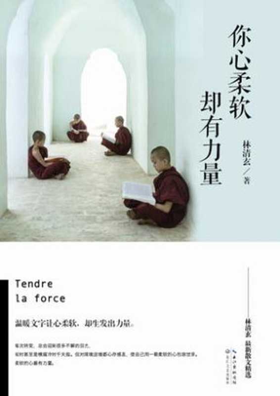 你心柔软 却有力量（林清玄 [林清玄]）