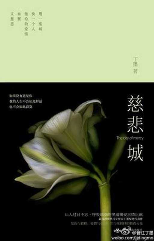 慈悲城——丁墨（丁墨）（北京燕山出版社 2013）