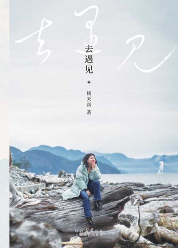 去遇见(杨天真)