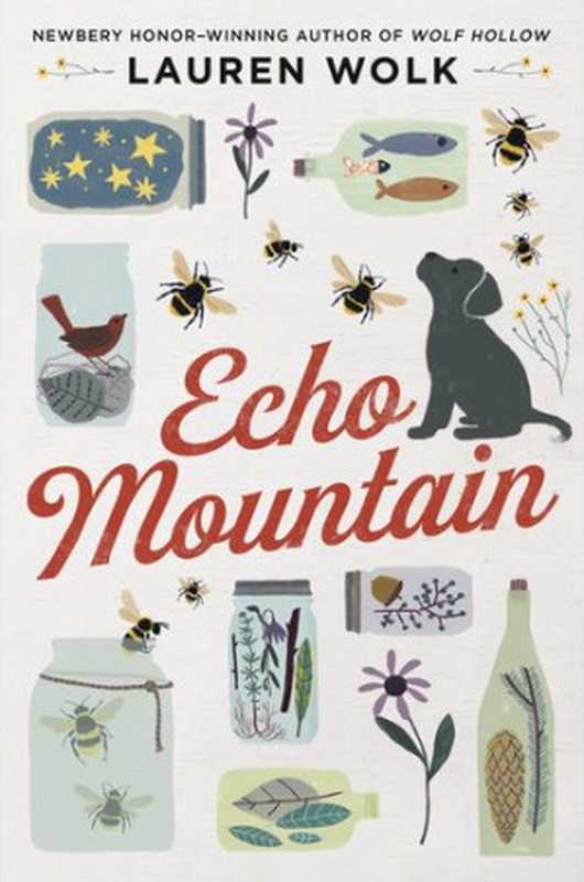 Echo Mountain（Lauren Wolk [Wolk  Lauren]）（Penguin Young Readers Group 2020）