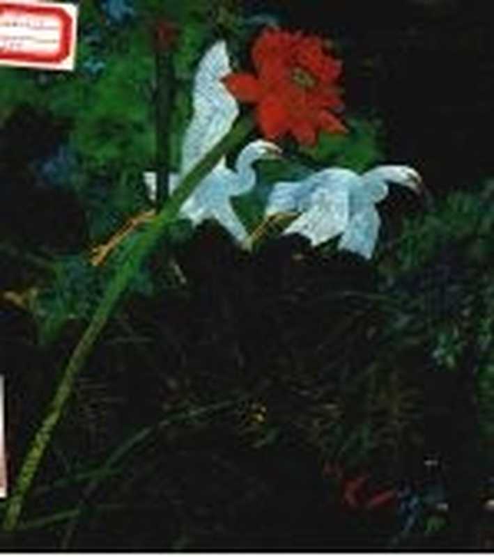 黄永玉画集（黄永玉绘）（美术家出版社1980）