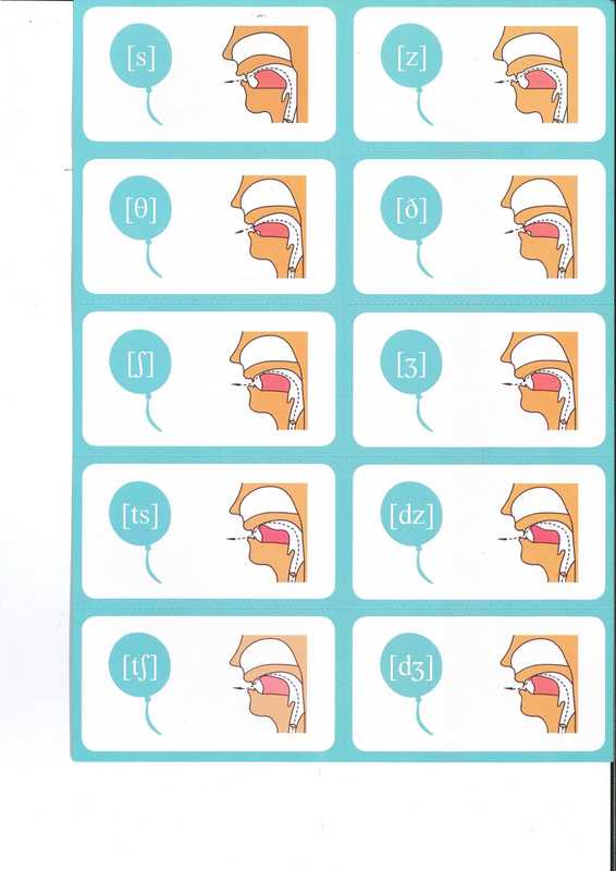 音标卡 alphebet（Jenny）