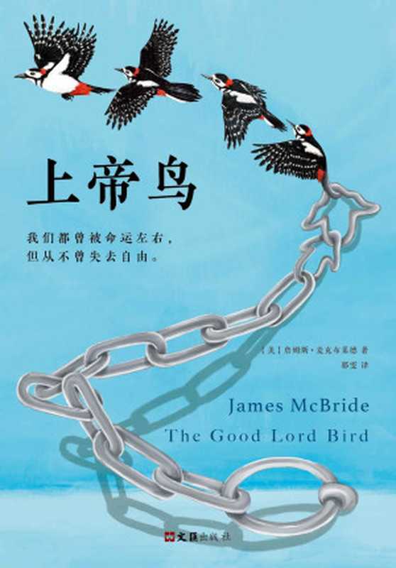 上帝鸟(2013年美国国家图书奖桂冠图书!我们都曾被命运左右但从不曾失去自由。)(詹姆斯·麦克布莱德)(2017)