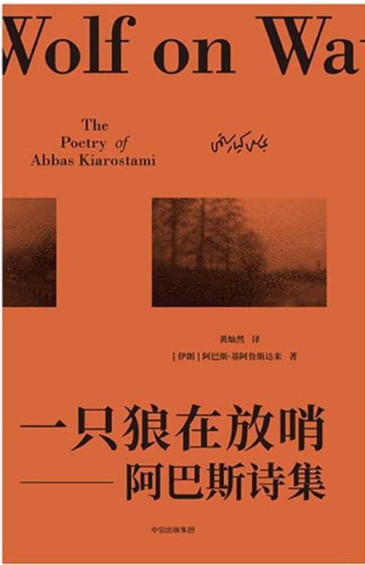 一只狼在放哨阿巴斯诗集(无)(阿巴斯·基阿鲁斯达米)(中信出版社2017)