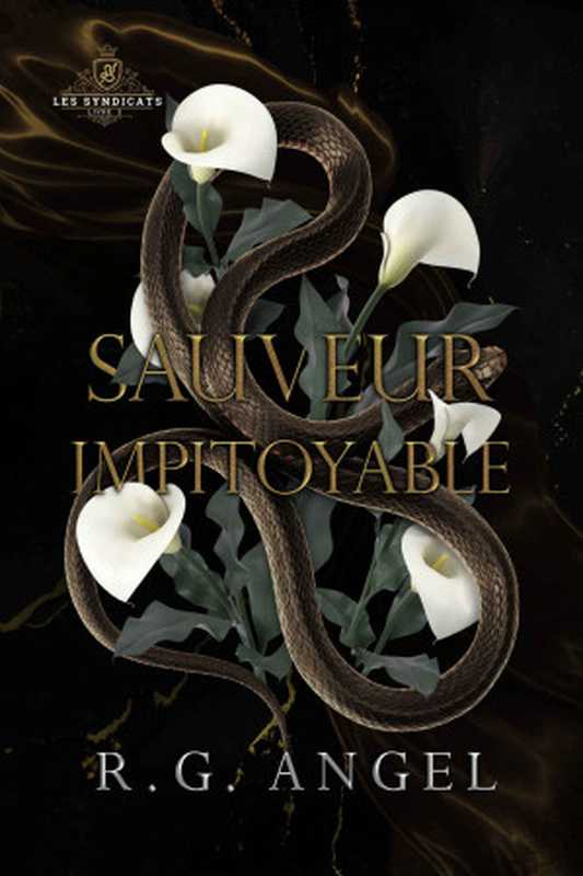 SauveurImpitoyableDarkRomanceetMafia(LesSyndicatst.2)(FrenchEdition)（R.G.Angel）（anonymous2023）