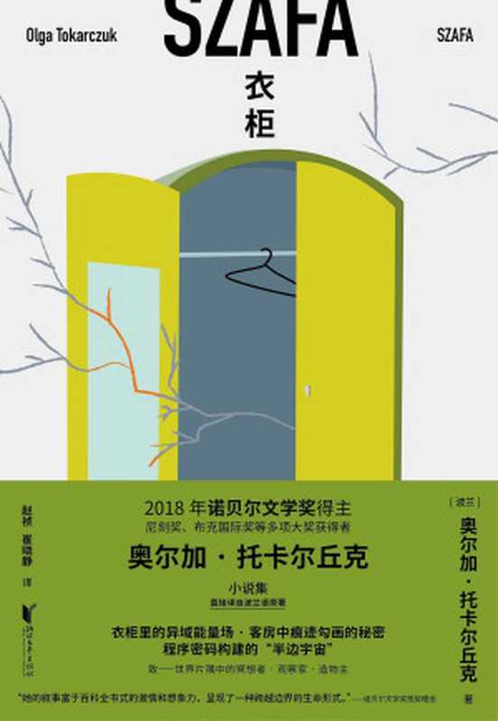 衣柜(奥尔加·托卡尔丘克)