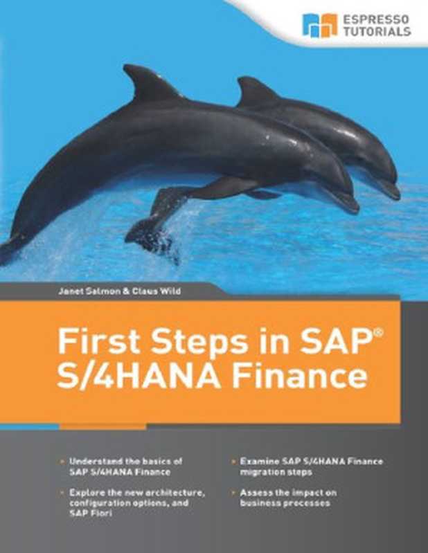 FirstStepsinSAPS4HANAFinance（JanetSalmon）（2017）