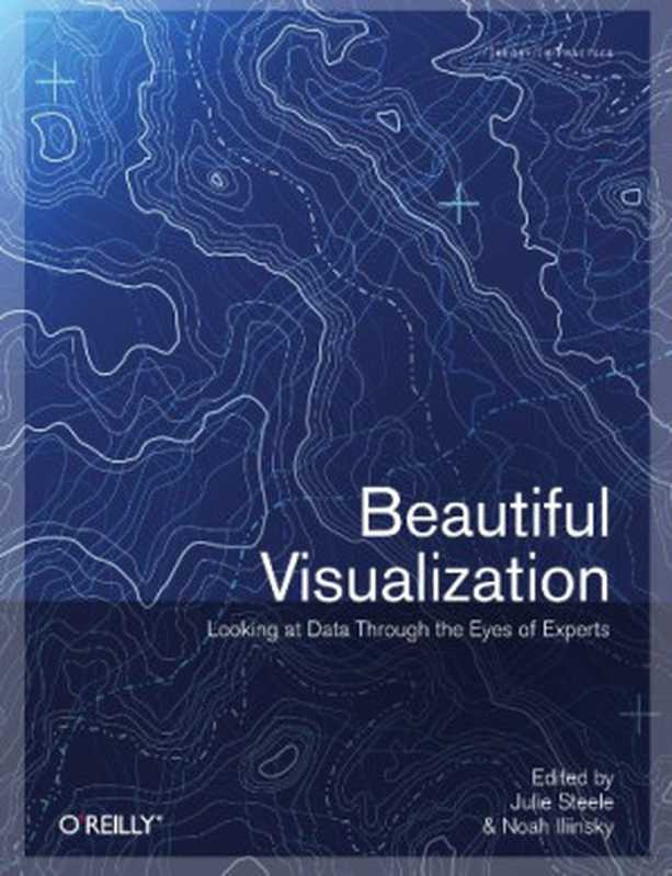 BeautifulVisualizationLookingatDataThroughtheEyesofExperts(JulieSteeleNoahIliinsky)(O’Reilly2010)