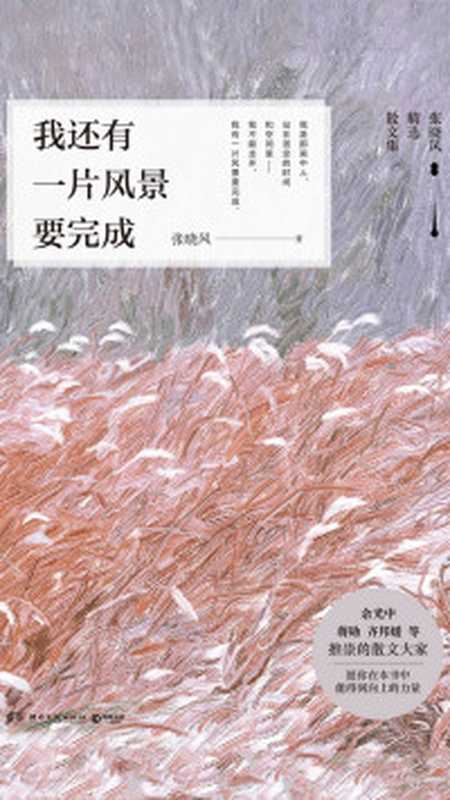 我还有一片风景要完成（ePUBw.COM张晓风）（湖南文艺出版社2019）