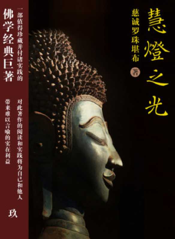 慧灯之光（玖）（慈诚罗珠堪布）（2014）