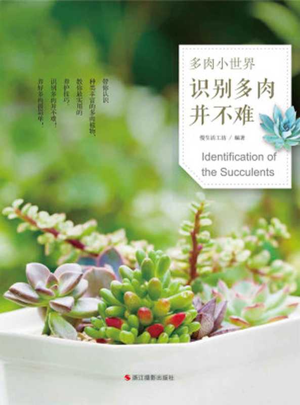 多肉小世界识别多肉并不难(慢生活工坊)(浙江摄影出版社2015)