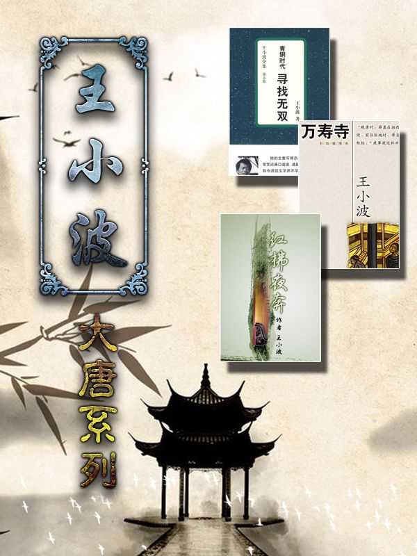王小波大唐系列(寻找无双、万寿寺、红拂夜奔共3册)(王小波)(2016)