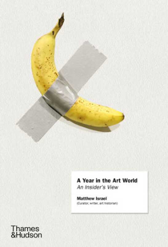 AYearintheArtWorld（MatthewIsrael）（Thames&Hudson2020）