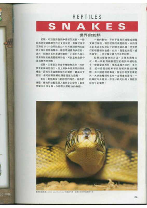 世界蛇类总汇图鉴(-)(2005)
