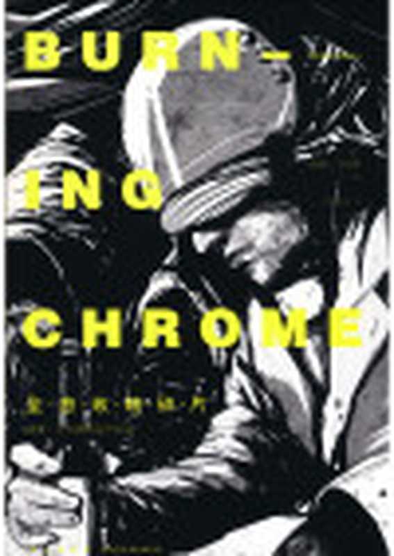 全息玫瑰碎片（[加]威廉·吉布森[[加]威廉·吉布森]）（新星出版社2014）