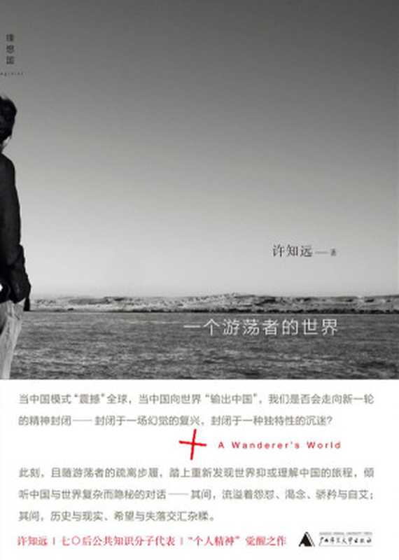 一个游荡者的世界(许知远)(COAY.COM)