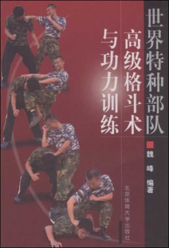 世界特种部队高级格斗术与功力训练【无封面、版权页】（魏峰）（北京体育大学出版社2005）