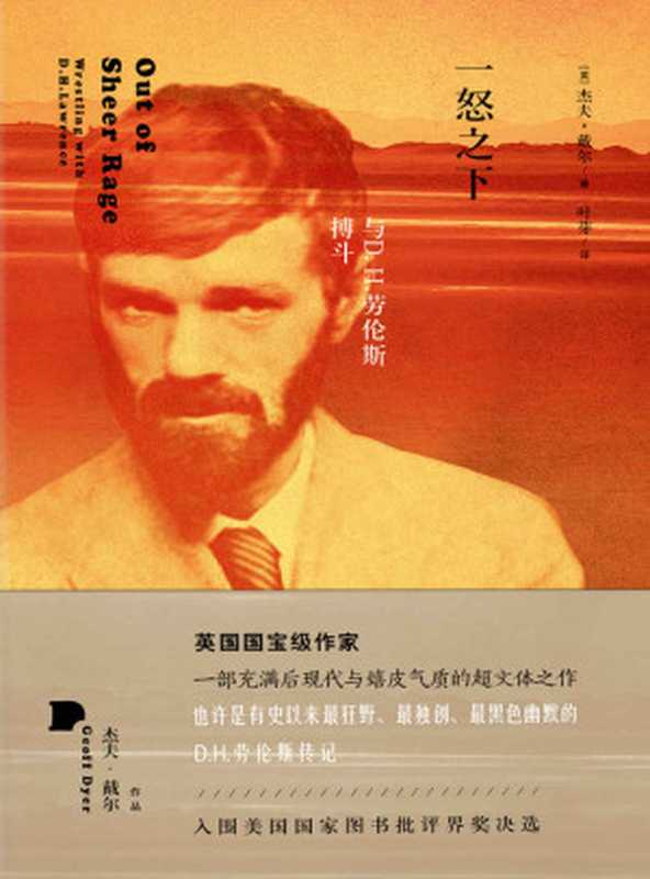 一怒之下与D.H.劳伦斯搏斗（[英]杰夫·戴尔）（浙江文艺出版社2017）