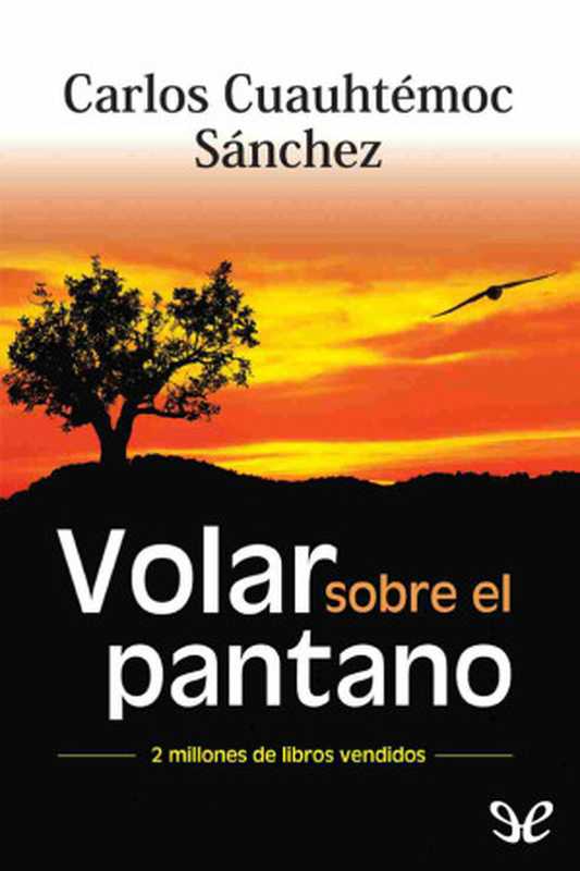 Volarsoeelpantano(CarlosCuauhtémocSánchez)(1995)
