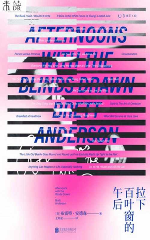 拉下百叶窗的午后（[英]布雷特·安德森）（北京联合出版公司2021）