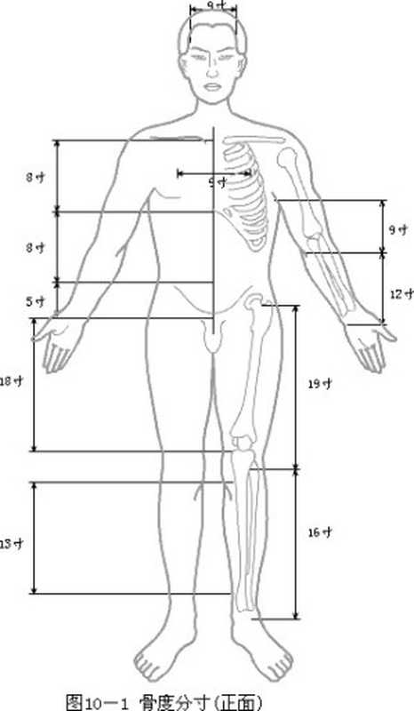 中医针灸学（中医）（2014）