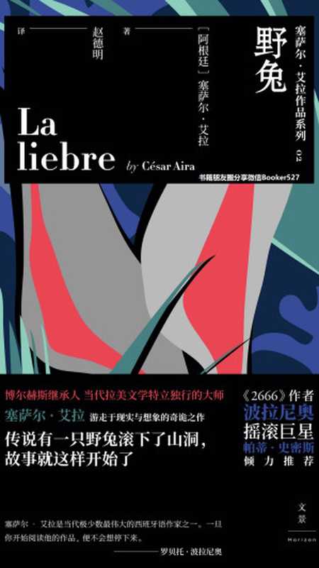 野兔（赵德明【阿根廷】塞萨尔·艾拉[【阿根廷】塞萨尔·艾拉赵德明]）（上海人民出版社2019）