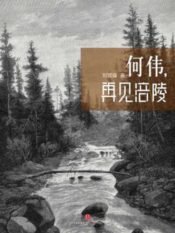 何伟再见涪陵（中国故事）（刘晋锋）（2013）