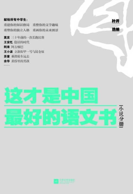 这才是中国最好的语文书（小说分册）（叶开）（江苏文艺出版社2014）
