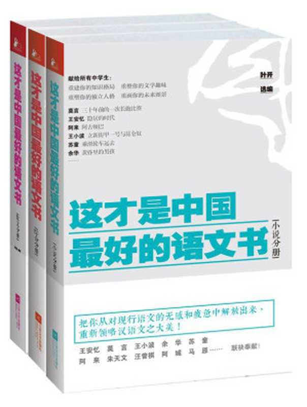 这才是中国最好的语文书(套装三册)综合分册&小说分册&散文分册(叶开)(2016)