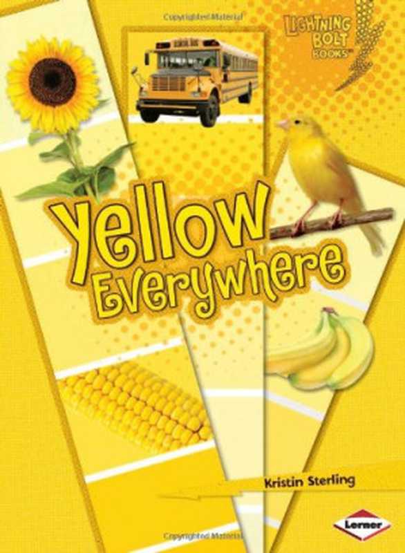 YellowEverywhere(KristinSterling)(LernerPubGroup(L)2010)