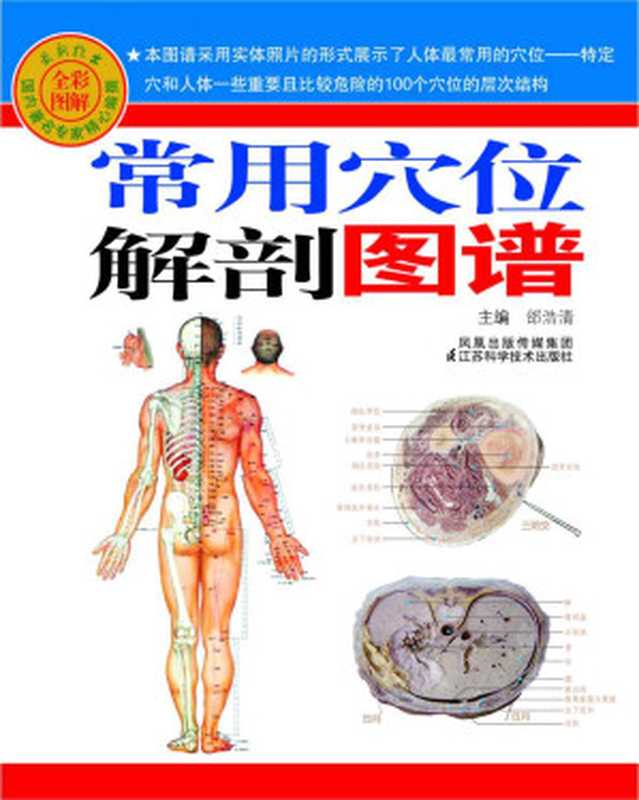 常用穴位解剖图谱(全彩图解)(邰浩清)(凤凰出版传媒集团江苏科学技术出版社2010)