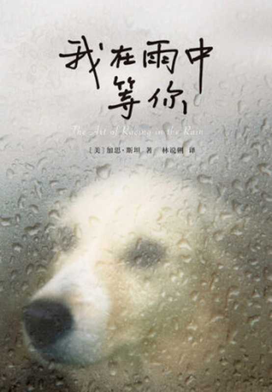 我在雨中等你（加思•斯坦）（南海出版公司2019）
