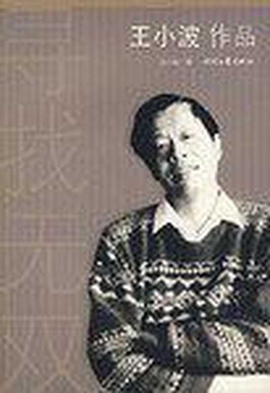 寻找无双(王小波)(时代文艺出版社2008)