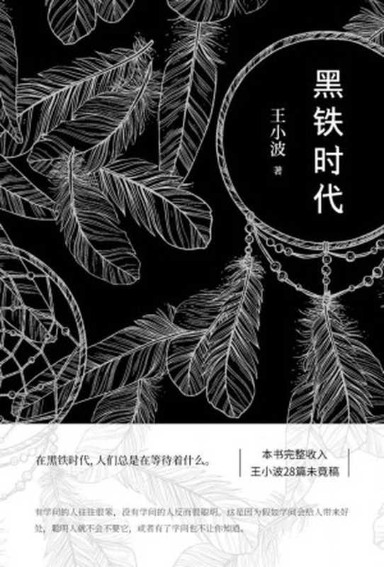 王小波黑铁时代（王小波）（2018）
