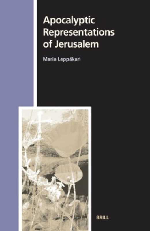 ApocalypticRepresentationsofJerusalem(NumenBookSeries-StudiesintheHistoryofReligions)(MariaLeppakari)(BrillAcademicPublishers2006)