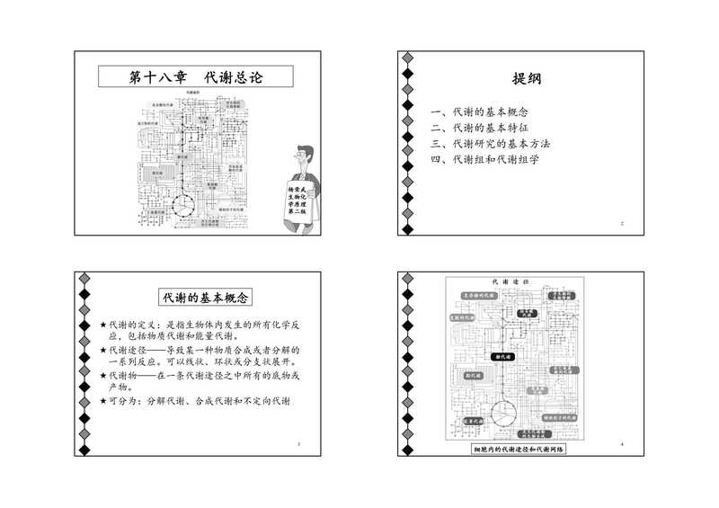 杨荣武-生物化学原理-代谢生化PPT（杨荣武）